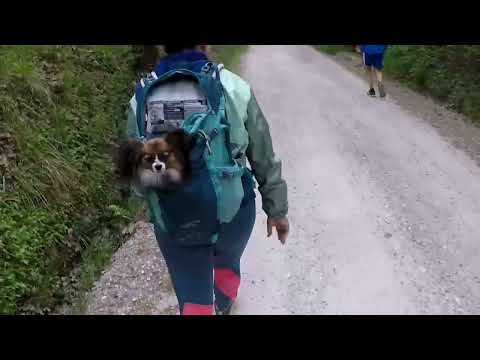 immagine di anteprima del video: 38° MARATONINA BIENTINESE